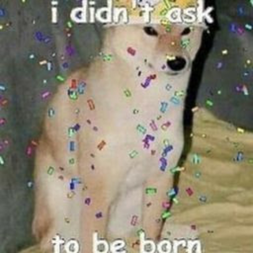 Meet your Posher, Kid_spork